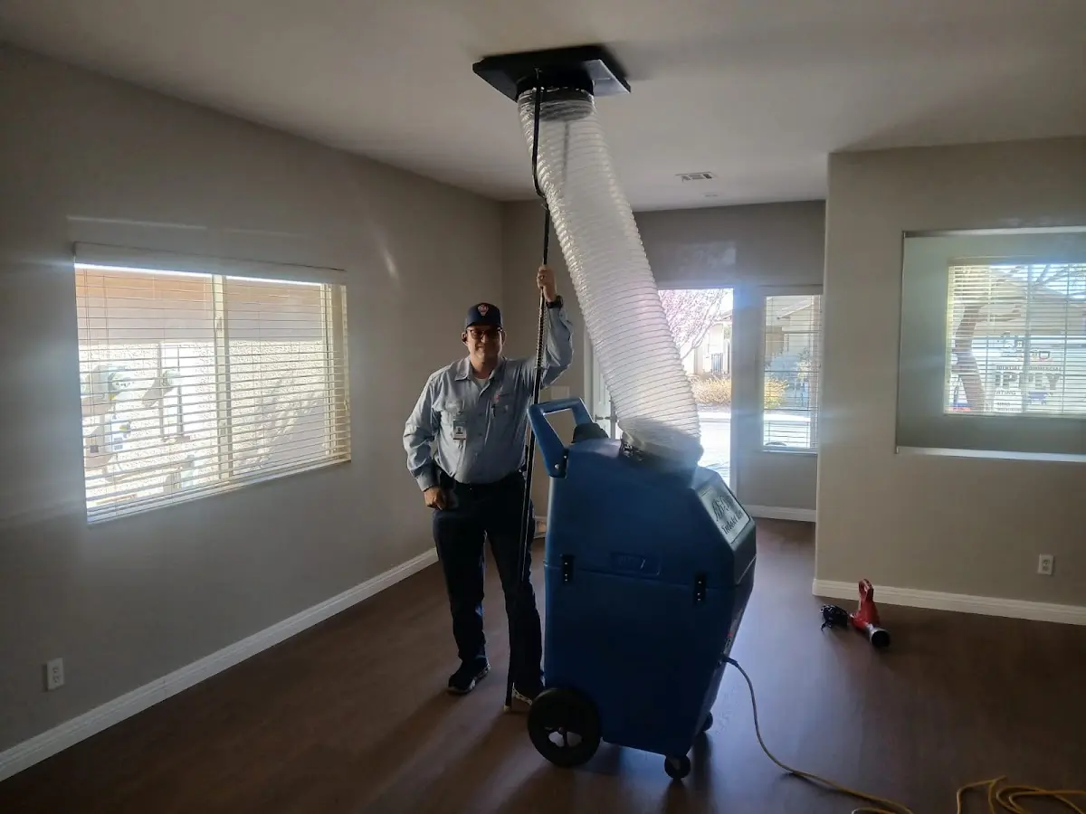 Professional Dryer Vent Cleaning work inside a Edgemere home